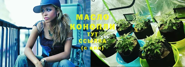 крисы Ветлуга