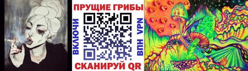 Галлюциногенные грибы Magic Shrooms  Красный Сулин 